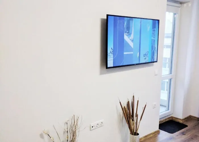 Super Luxury アパート *